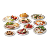 Nourish Molded Fiber Takeout Containers, 6 X 6 X 2, White, Sugarcane, 400/carton