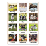 Puppies Monthly Wall Calendar, 15.5 X 22.75, 2021