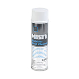 Stainless Steel Cleaner And Polish, 15 Oz Aerosol