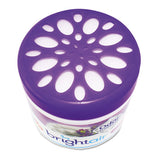 Super Odor Eliminator, Lavender And Fresh Linen, Purple, 14 Oz, 6-carton