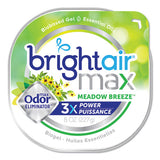 Max Odor Eliminator Air Freshener, Meadow Breeze, 8 Oz