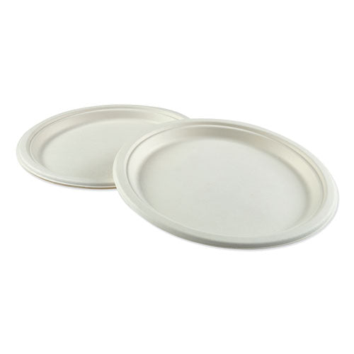 Bagasse Molded Fiber Dinnerware, Plate, 10