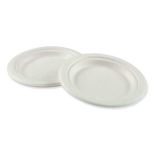 Bagasse Molded Fiber Dinnerware, Plate, 6