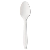 Mediumweight Polypropylene Cutlery, Teaspoon, White, 1000-carton