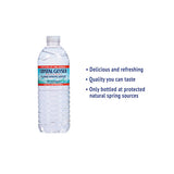 Alpine Spring Water, 16.9 Oz Bottle, 24-case, 84 Cases-pallet