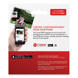 3725c006 (cl-261-pg-260) Ink, Black-color