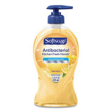 Antibacterial Hand Soap, Citrus, 11.25 Oz Pump Bottle