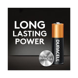 Coppertop Alkaline D Batteries, 2-pack