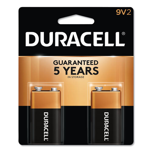 Coppertop Alkaline 9v Batteries, 2-pack