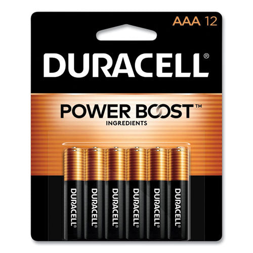 Power Boost Coppertop Alkaline Batteries, Aaa, 12/pack