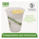 Greenstripe Renewable And Compostable Cold Cups - 12 Oz, 50-pack, 20 Packs-carton