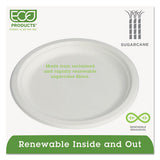 Renewable And Compostable Sugarcane Plates, 9", 500-carton