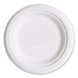 Renewable And Compostable Sugarcane Plates, 6", 1000-carton