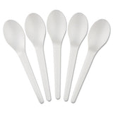 Plantware Compostable Cutlery, Spoon, 6", Pearl White, 50-pack, 20 Pack-carton