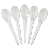 Plantware Compostable Cutlery, Spoon, 6", Pearl White, 50-pack, 20 Pack-carton