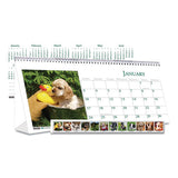 Recycled Puppy Photos Desk Tent Monthly Calendar, 8.5 X 4.5, 2021