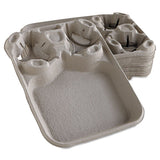Strongholder Molded Fiber Cup-food Trays, 8-44oz, 2-cup Capacity, 100-carton