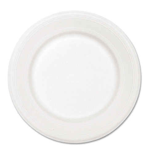 Paper Dinnerware, Plate, 10 1-2