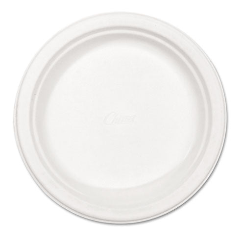 Paper Dinnerware, Plate, 8 3-4