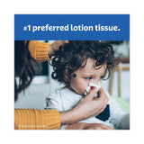 Lotion Facial Tissue, 3-ply, White, 60 Sheets-box, 4 Boxes-pack, 2 Packs-carton
