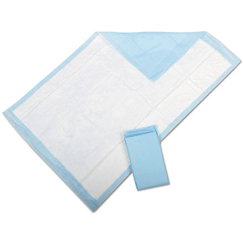 Protection Plus Disposable Underpads, 23