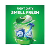 Flings Detergent Pods, Orginal, 81 Pods-tub