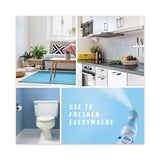 Air, Spring And Renewal, 8.8 Oz Aerosol, 6-carton