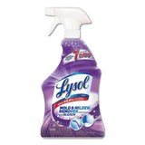 Mold And Mildew Remover With Bleach, 32 Oz Spray Bottle, 12-carton