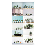 12-month Wall Calendar, 12 X 17, Succulent Plants, 2021