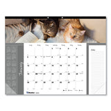 Pets Collection Monthly Desk Pad, 22 X 17, Furry Kittens, 2021