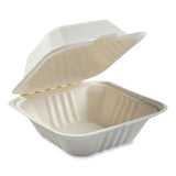 Bagasse Pfas-free Food Containers. 1-compartment, 6 X 6 X 3.19, White, Bamboo/sugarcane, 500/carton