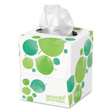 100% Recycled Facial Tissue, 2-ply, White, 85 Sheets-box