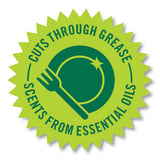 Natural Auto Dishwasher Gel, Ultra Power Plus, Fresh Citrus, 65 Oz Bottle, 6-ct