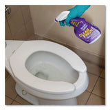 Clean Finish Disinfectant Cleaner, Herbal, 32 Oz Spray Bottle, 12-carton