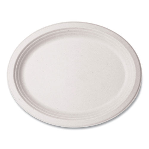 Nourish Molded Fiber Tableware, Platter, 8 X 10 X 1, White, 500/carton