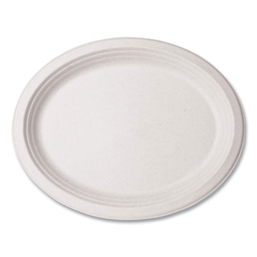 Molded Fiber Tableware, Platter, 7 X 10 X 1, White, 500/carton