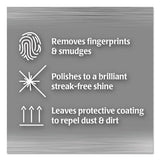 Stainless Steel Cleaner And Polish, 17 Oz Aerosol