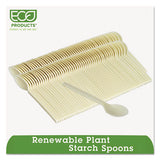 Plant Starch Spoon - 7", 50/pack