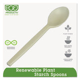 Plant Starch Spoon - 7", 50/pack