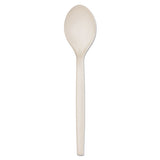 Plant Starch Spoon - 7", 50/pack, 20 Pack/carton