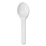 Pla Compostable Cutlery, Tasting Spoon, White, 3,000/carton